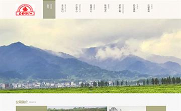 自貢黑羽網絡網頁制作案例-湖北蘄黃時珍藥業（武漢）有限公司
